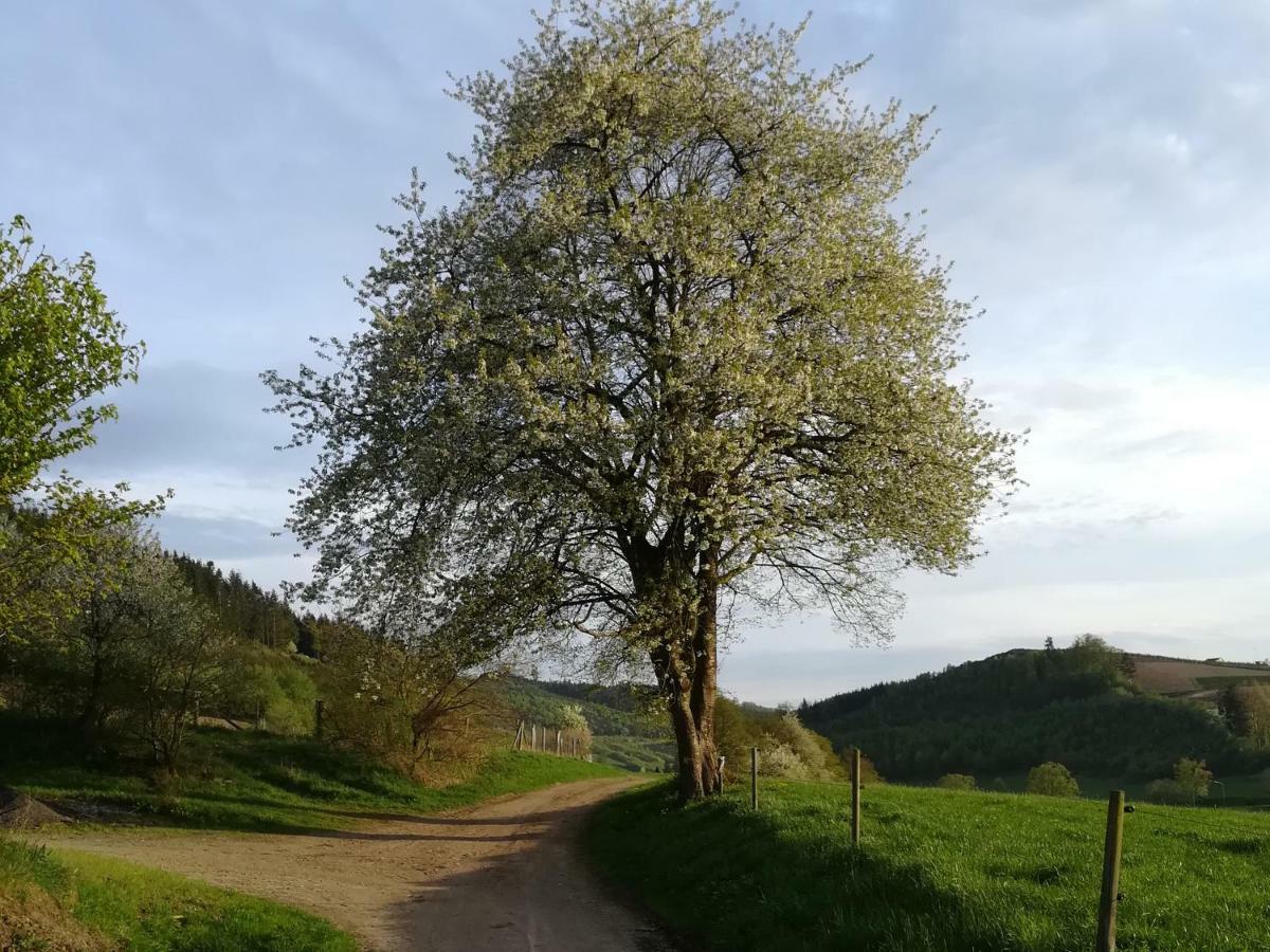 Bauernhofpension Wiebelhaus-Mester Lennestadt Exteriér fotografie