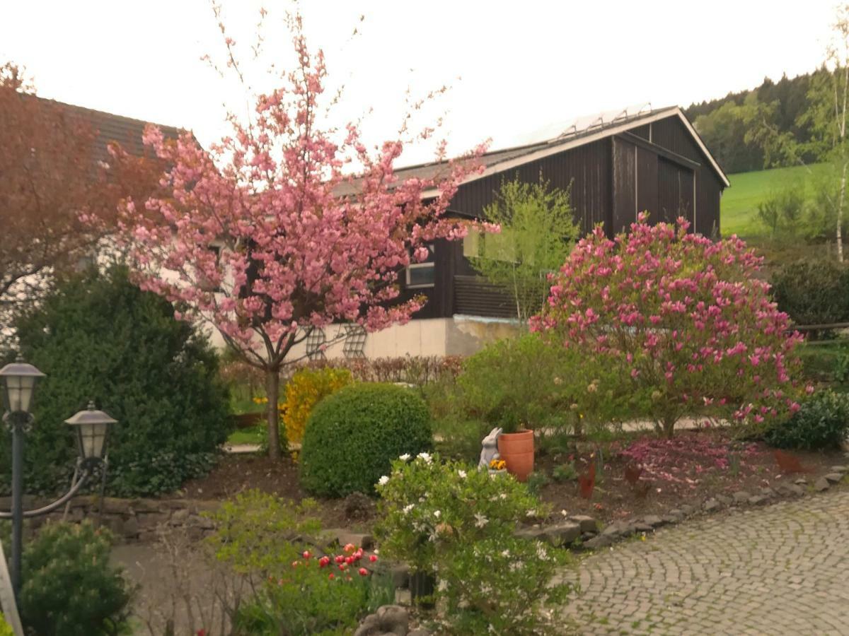 Bauernhofpension Wiebelhaus-Mester Lennestadt Exteriér fotografie